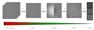 Cryo-electron microscopy image processing pipeline